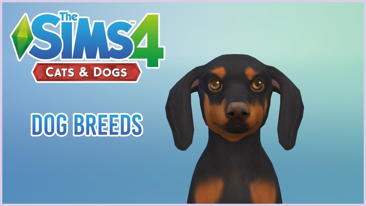 sims 2 custom pet breeds